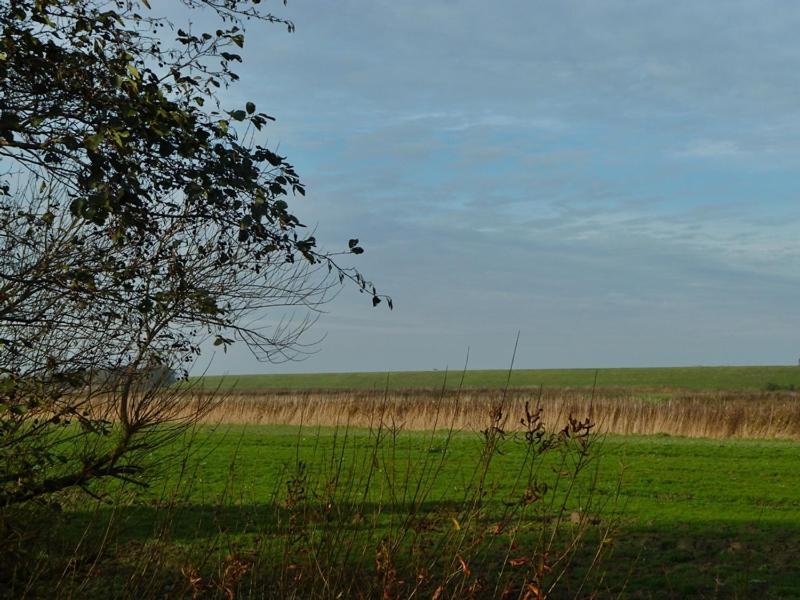 Deichbrise Villa Greetsiel Eksteriør billede